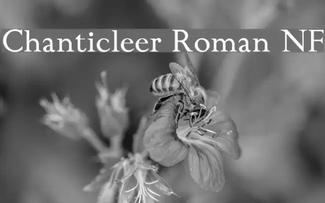 Chanticleer Roman NF Font examples