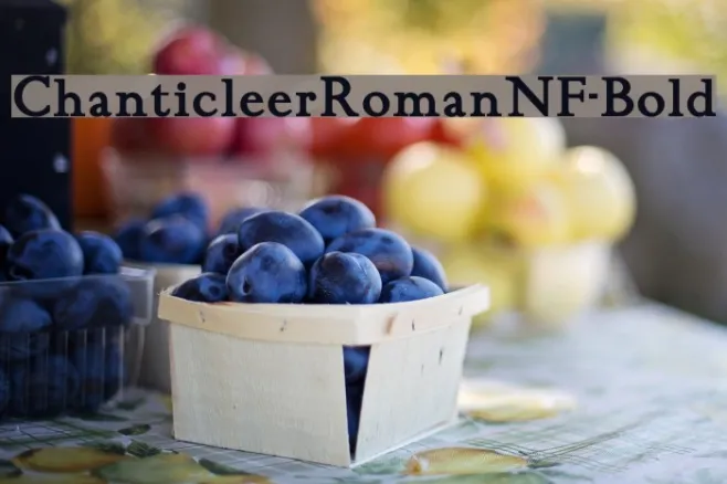 ChanticleerRomanNF-Bold Example 2