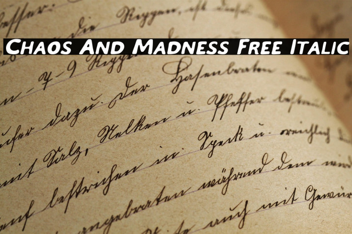 Chaos And Madness Free Italic Example 1