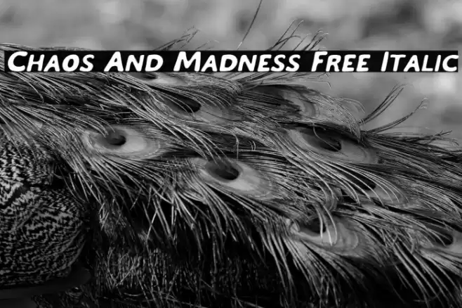 Chaos And Madness Free Italic Font examples