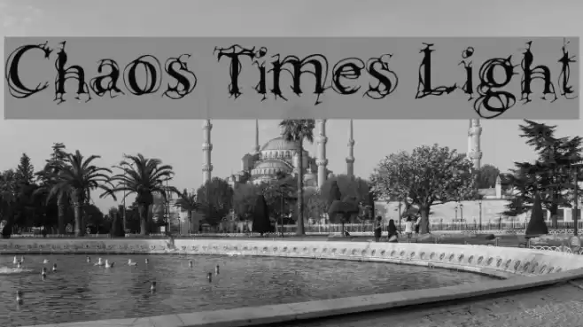 Chaos Times Light Polices examples