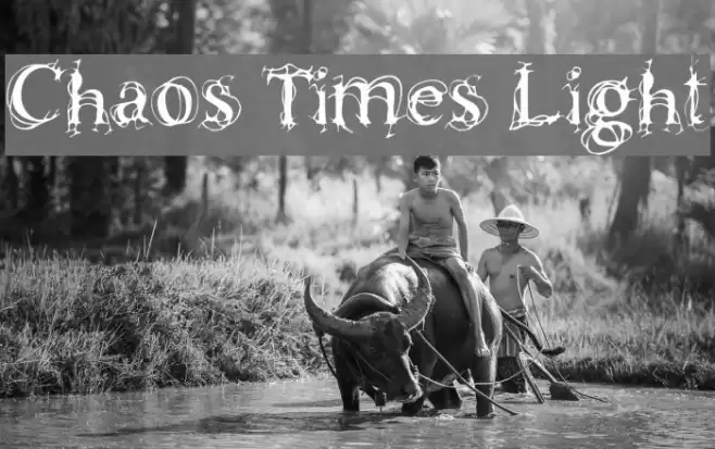 Chaos Times Light Polices examples