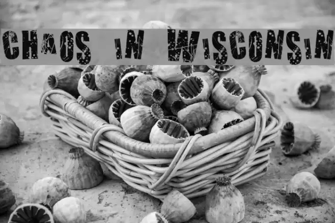 Chaos in Wisconsin Font examples
