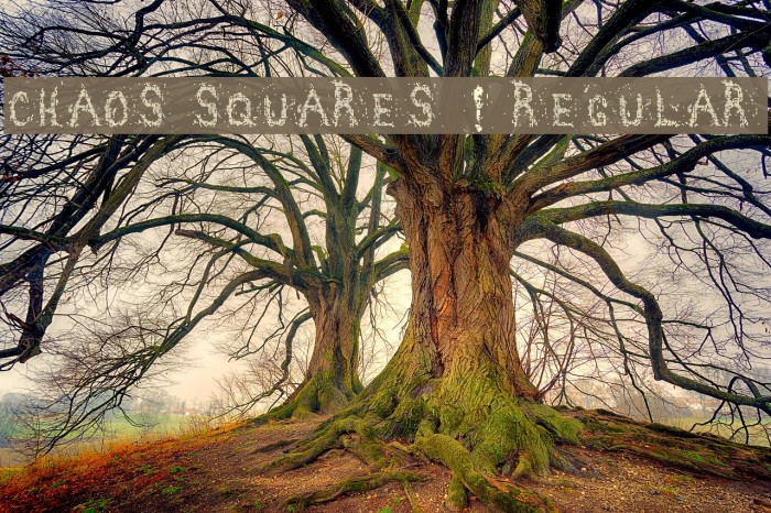 Chaos squares ! Regular Font examples