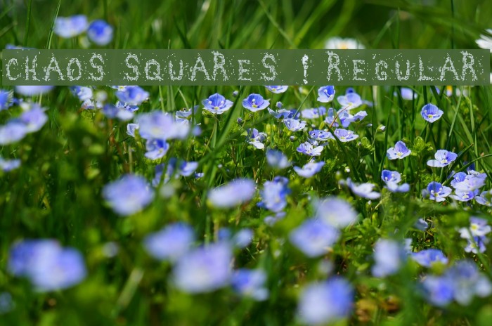 Chaos squares ! Regular Font examples