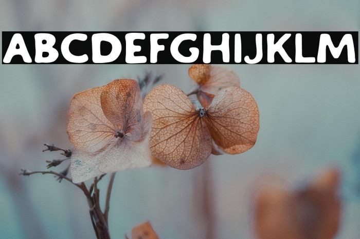 ChaosAndMadnessFree-Regular Example 2