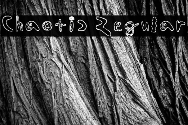 Chaotic Regular フォント examples