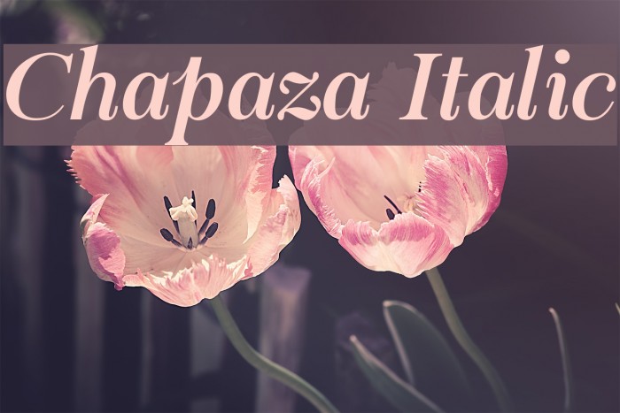 Chapaza Italic Font examples