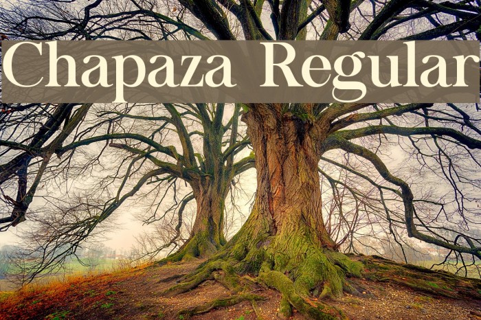Chapaza Regular Font examples