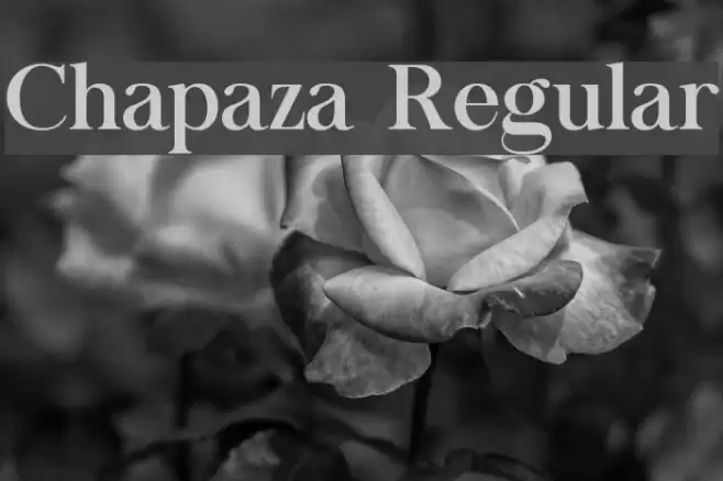 Chapaza Regular Font examples