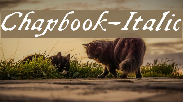 Chapbook-Italic Font examples
