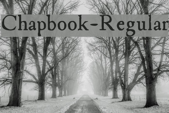 Chapbook-Regular Font examples
