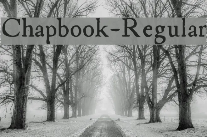 Chapbook-Regular Example 3