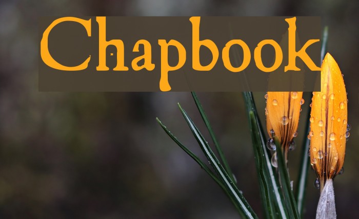 Chapbook Font examples
