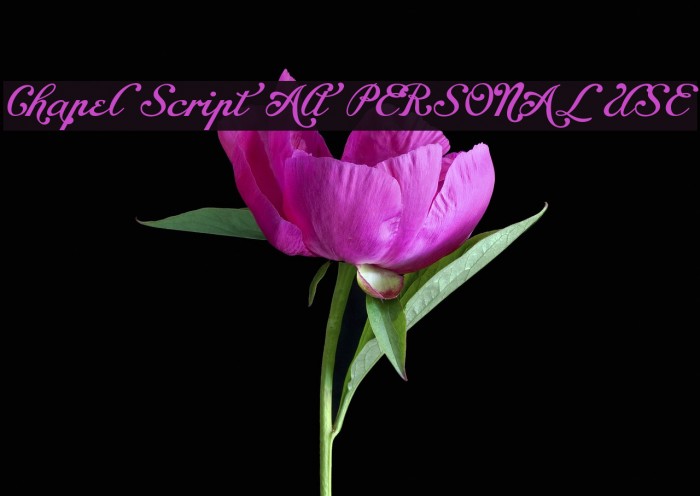 Chapel Script Alt PERSONAL USE Font examples