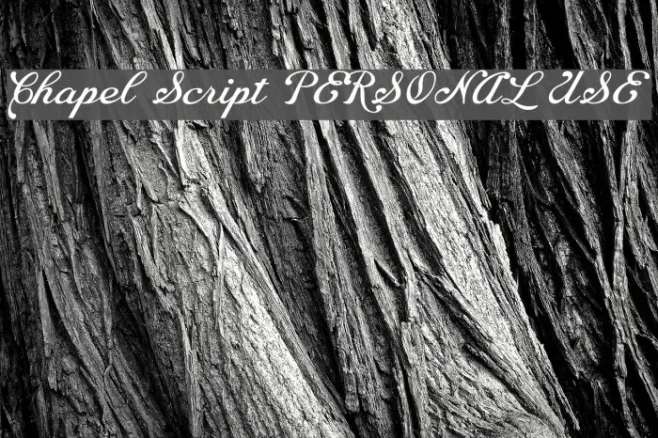 Chapel Script PERSONAL USE Example 3