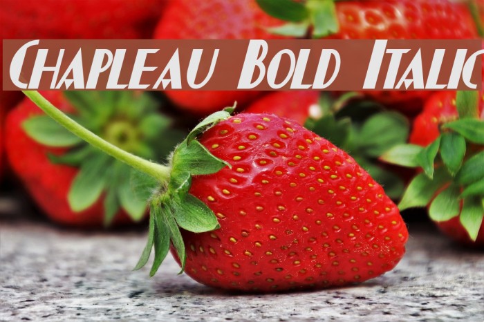 Chapleau Bold Italic Font examples