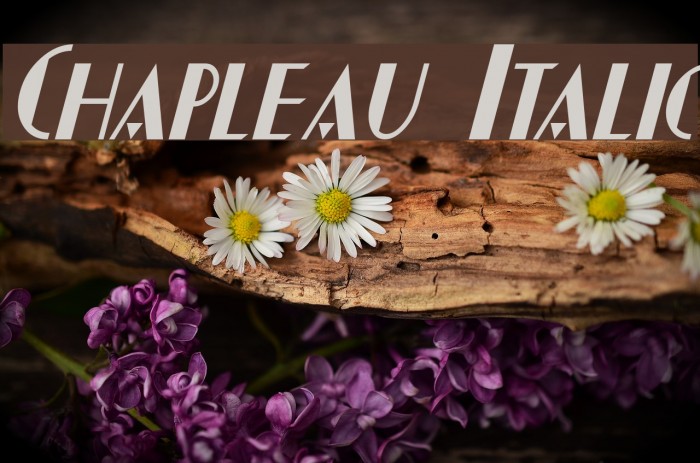 Chapleau Italic Font examples