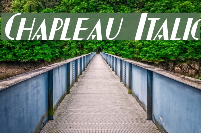 Chapleau Italic Font examples
