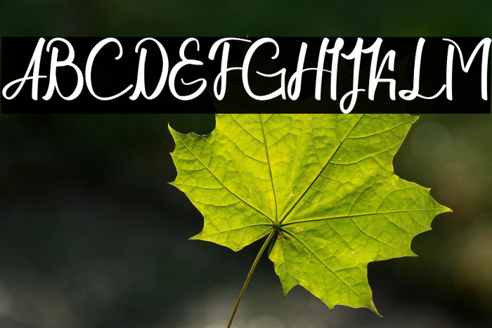 Chapline personal use only Example 1