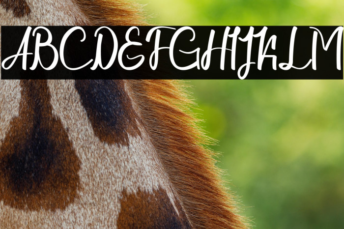 Chapline personal use only Example 2