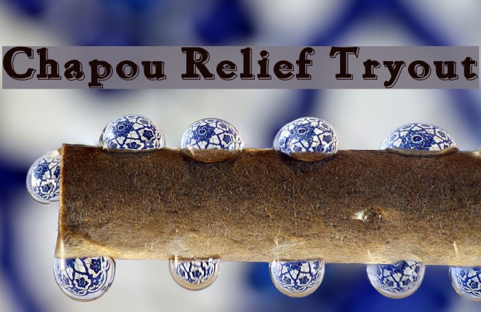 Chapou Relief Tryout Schriftart examples