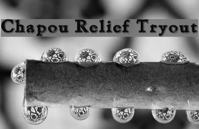 Chapou Relief Tryout Fonte examples
