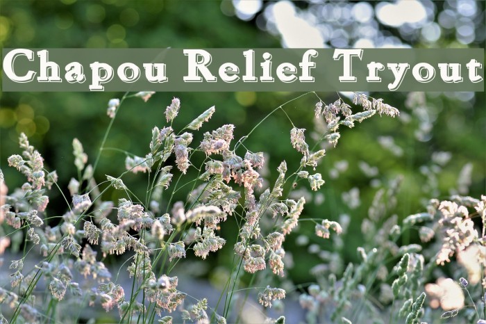 Chapou Relief Tryout Schriftart examples
