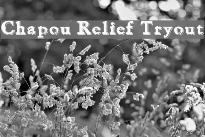 Chapou Relief Tryout Fonte examples