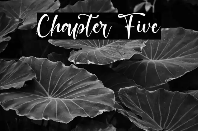 Chapter Five Font examples