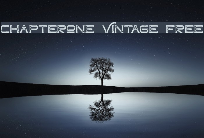 ChapterOne Vintage Free Example 1