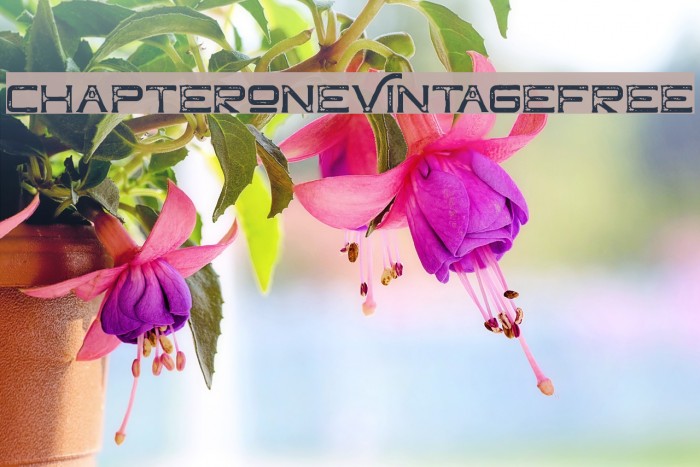 ChapterOneVintageFree Font examples