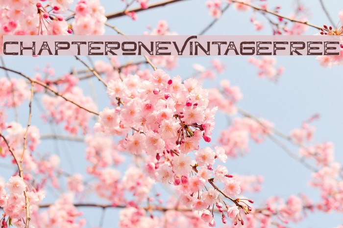 ChapterOneVintageFree Font examples