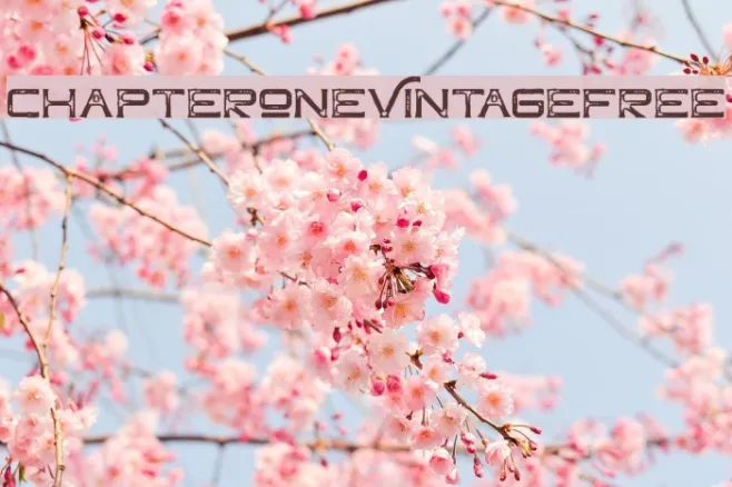ChapterOneVintageFree Example 2