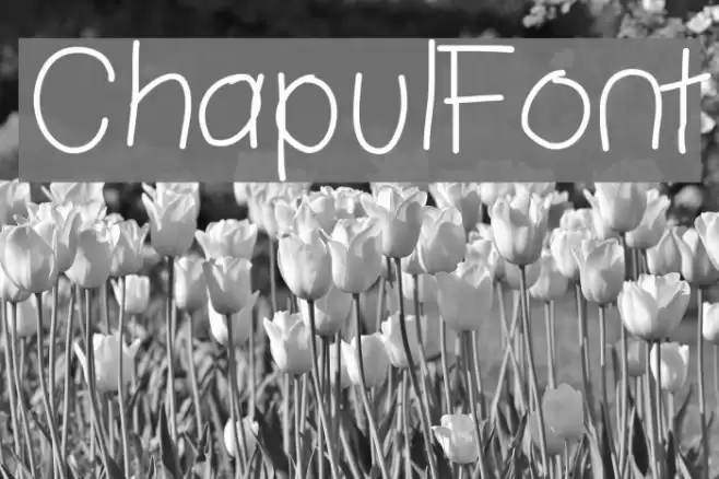 ChapulFont Font examples