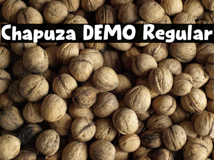 Chapuza DEMO Regular Example 2