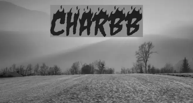 CharBB Font examples