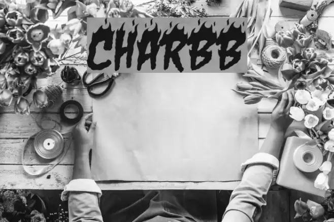 CharBB Font examples