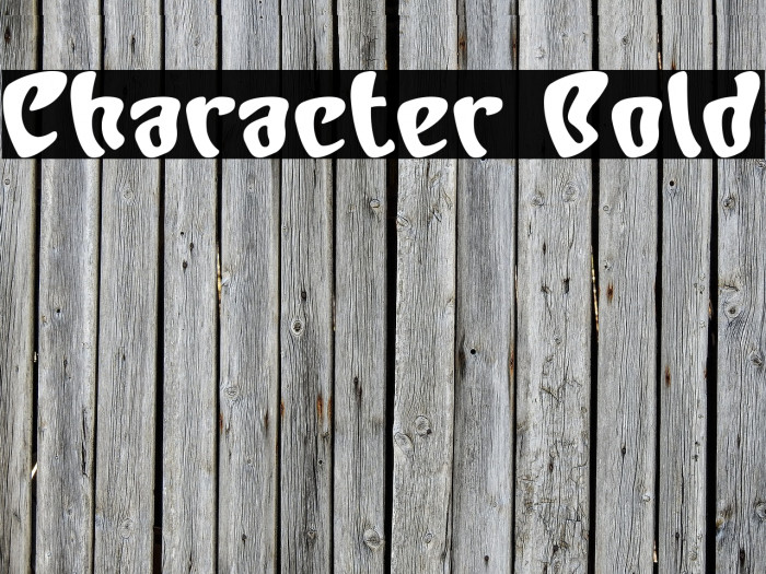 Character Bold Font examples
