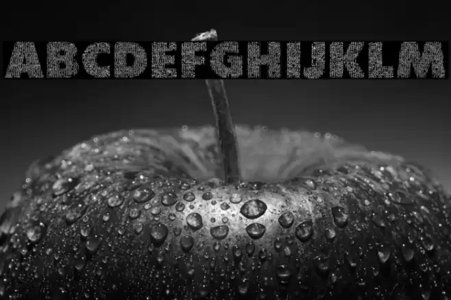 Character with Text Regular Polices examples