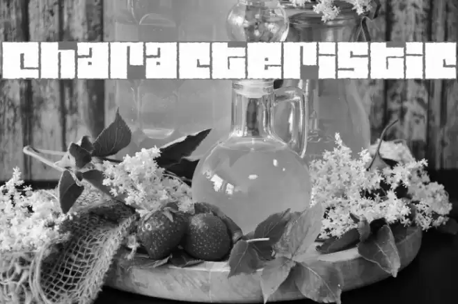 Characteristic Font examples