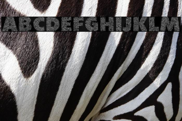 CharacterwithText-Regular Example 1