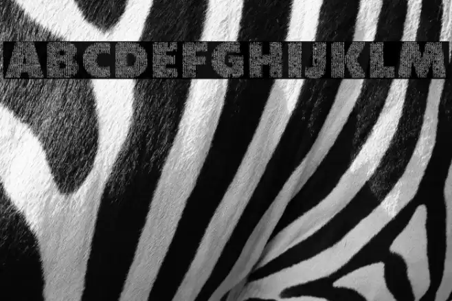 CharacterwithText-Regular Font examples