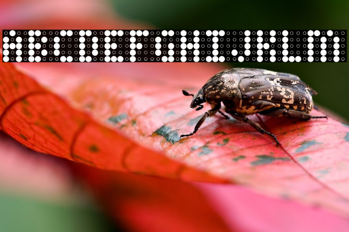 Charaille AOE Example 1