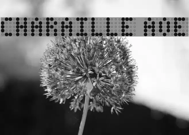 Charaille AOE Font examples