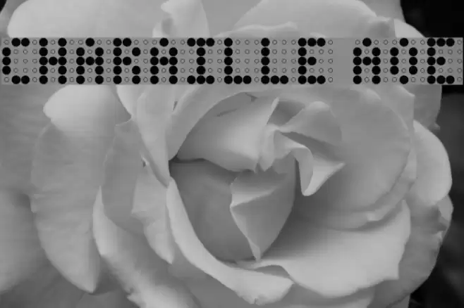 Charaille AOE Font examples