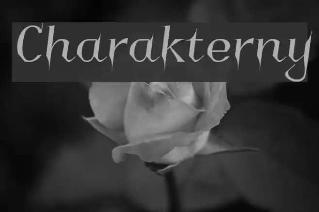 Charakterny Font examples