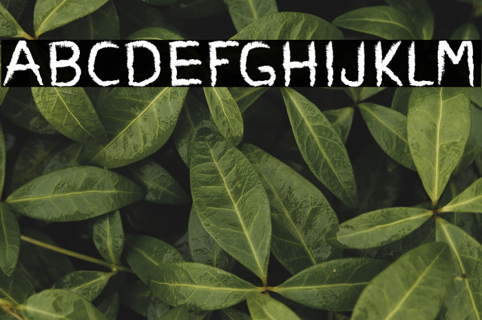 Charcoal Child Example 2