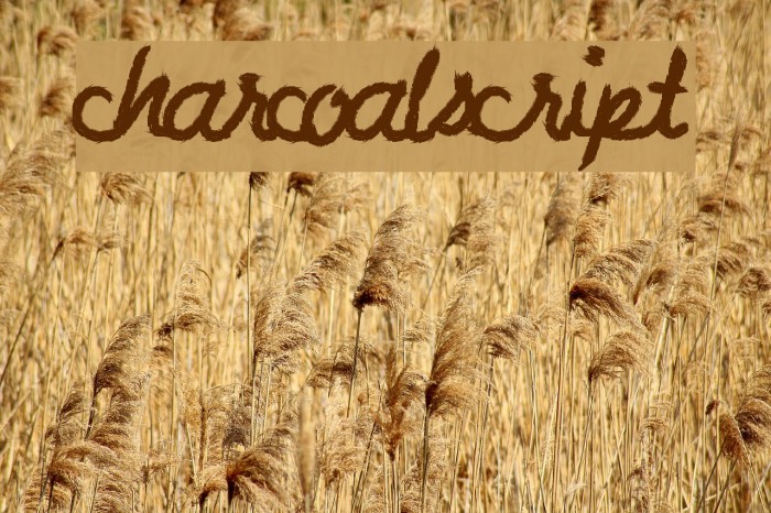 CharcoalScript Font examples