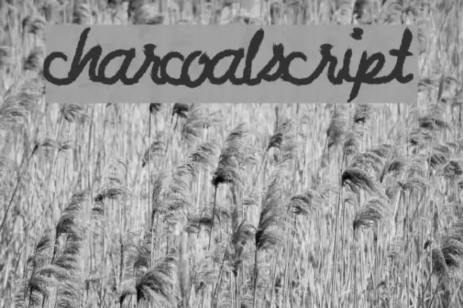 CharcoalScript Fonte examples